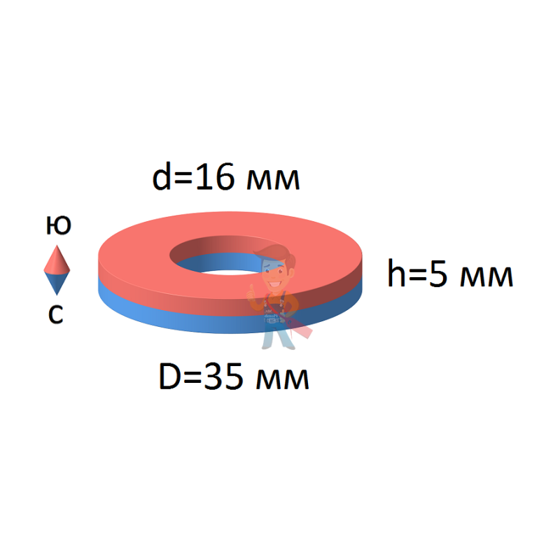 Неодимовый магнит кольцо 35х16х5 мм - фото 1