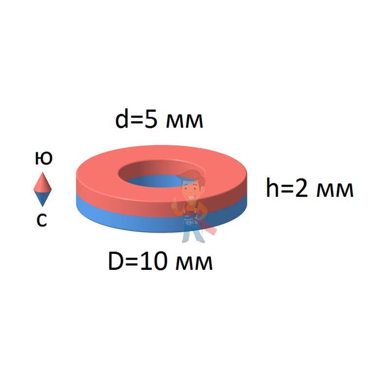 Неодимовый магнит кольцо 10х5х2 мм - фото 1